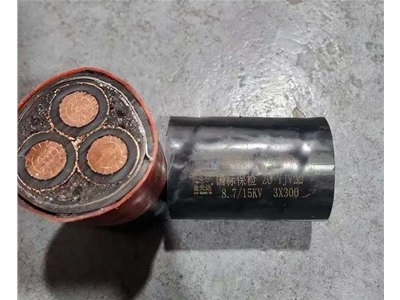 金光達電纜YJV22-3X300