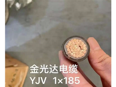 金光達電纜YJV-1x185