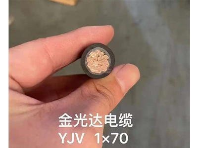 金光達電纜YJV-1X70